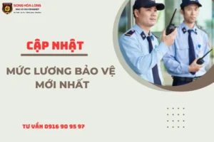 muc-luong-bao-ve-hien-nay