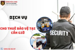 dich-vu-bao-ve-tai-can-gio