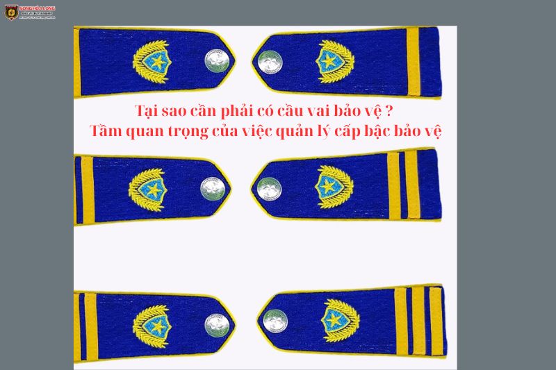 cau-vai-bao-ve cau-vai-bao-ve