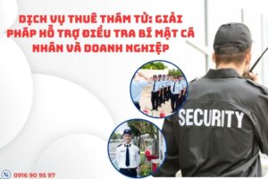 dich-vu-thue-tham-tu