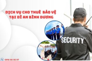 dich-vu-bao-ve-tai-di-an