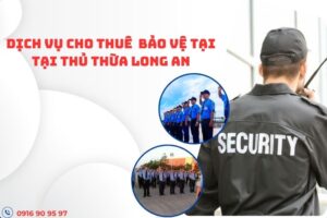 dich-vu-bao-ve-tai-thu-thua