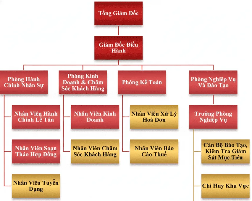 Sơ đồ tổ chức tại Công ty Bảo vệ Song Hỏa Long Group